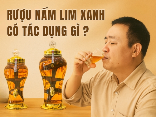 Rượu nấm Lim Xanh có tác dụng gì? Khác biệt so với rượu thường ở điểm nào?